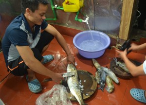 Food Preparation Fresh Seafood, Best Halong Bay Overnight Cruise Tours from Hanoi