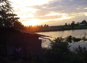 Rice Fields and Wooden Huts Sunset in Cambodia, Bangkok to Siem Reap, Angkor Wat Tour, Cambodia