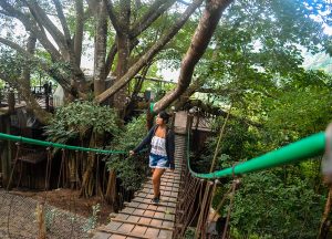 Fanfan Wilson, Giant Tree House Coffee Shop in Chiang Mai Homestay
