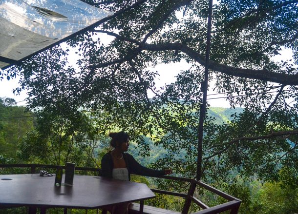 Restaurant Eating, Giant Tree House Coffee Shop in Chiang Mai Homestay