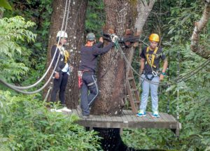 Zipline Tree, Giant Tree House Coffee Shop in Chiang Mai Homestay